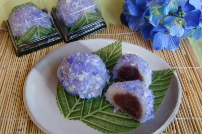 紫陽花餅
